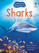 Sharks (Beginners)