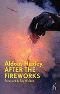 After the Fireworks (Hesperus Modern Voices)