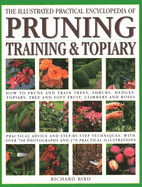 Illustrated Practical Encyclopedia of Pruning, Training and Topiary: How to Prune and Train Trees, Shrubs, Hedges, Topiary, Tree and Soft Fruit, ... photographs and 100 Practical Illustrations