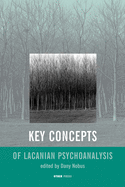 Key Concepts of Lacanian Theory