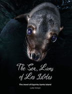 The Sea Lions of Los Islotes: The Jewel of Esp├â┬¡ritu Santo Island