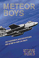 Meteor Boys: True Tales from the Operators of Bri