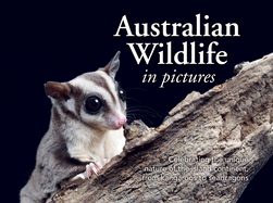 Australian Wildlife in Picture: Celebrating the unique nature of the island continent, from kangaroos to sea dragons