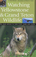 Watching Yellowstone And Grand Teton Wildlife: The Best Places to Look From Roads and Trails