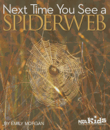 Next Time You See a Spiderweb