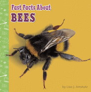 Fast Facts about Bees (Fast Facts about Bugs & Spiders)
