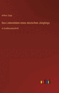 Das Liebesleben eines deutschen J├â┬╝nglings: in Gro├â┼╕druckschrift (German Edition)