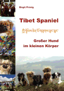 Tibet Spaniel: Gro???er Hund im kleinen K???rper