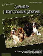 Unser Traumhund: Cavalier King Charles Spaniel