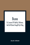 Bruno; Or, Lessons Of Fidelity, Patience, And Self-Denial Taught By A Dog