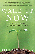Wake Up Now: A Guide to the Journey of Spiritual