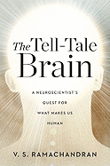 The Tell-tale Brain