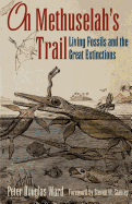 On Methuselah's Trail: Living Fossils and the Gre