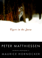 Tigers in the Snow