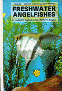 Freshwater Angel Fishes