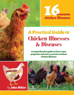A Practical Guide to Chicken Illnesses & Diseases