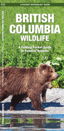 British Columbia Wildlife: A Folding Pocket Guide