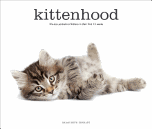 Kittenhood: Life-Size Portraits of Kittens in The
