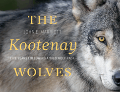 The Kootenay Wolves: Five Years Following a Wild