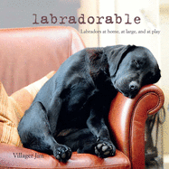 Labradorable: Labradors at home, at large, and at