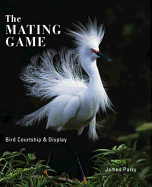 Mating Lives Of Birds
