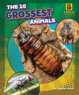 The 10 Grossest Animals (Top 10 Animal Extremes)